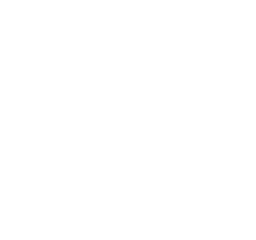 Eleven Store